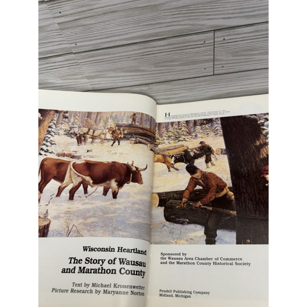 Wisconsin Heartland Story of Wausau Marathon County Kronenwetter HC 1984