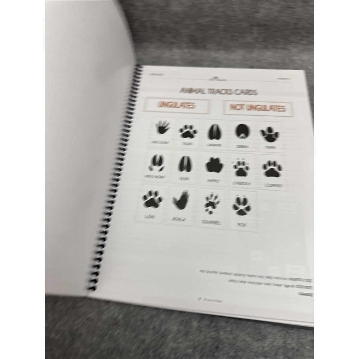 The Good And The Beautiful Mammals K-8 Science Unit Spiralbound Book