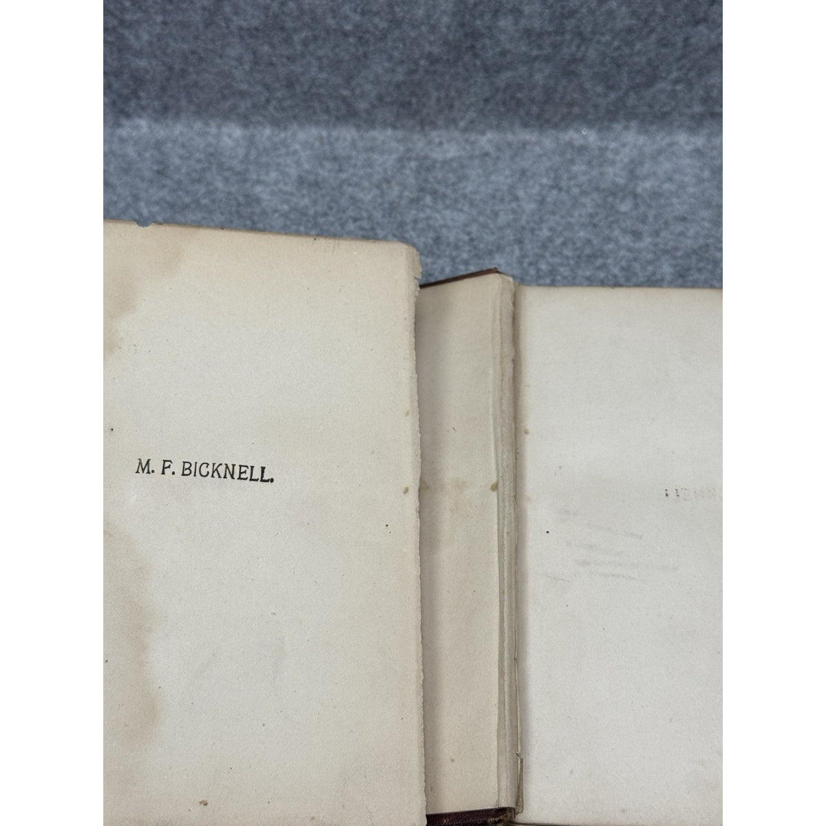 1869 The Lady of the Lake Sir Walter Scott Illustrated FOC Darley Antique