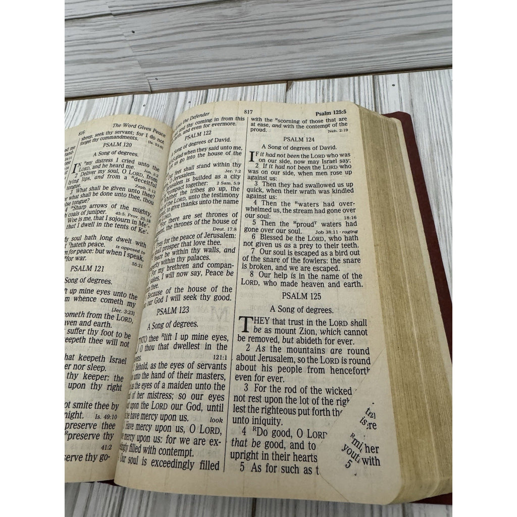 Holy Bible KJV Giant Print Nelson Regency 881CBG Red Letter Concordance Flexi