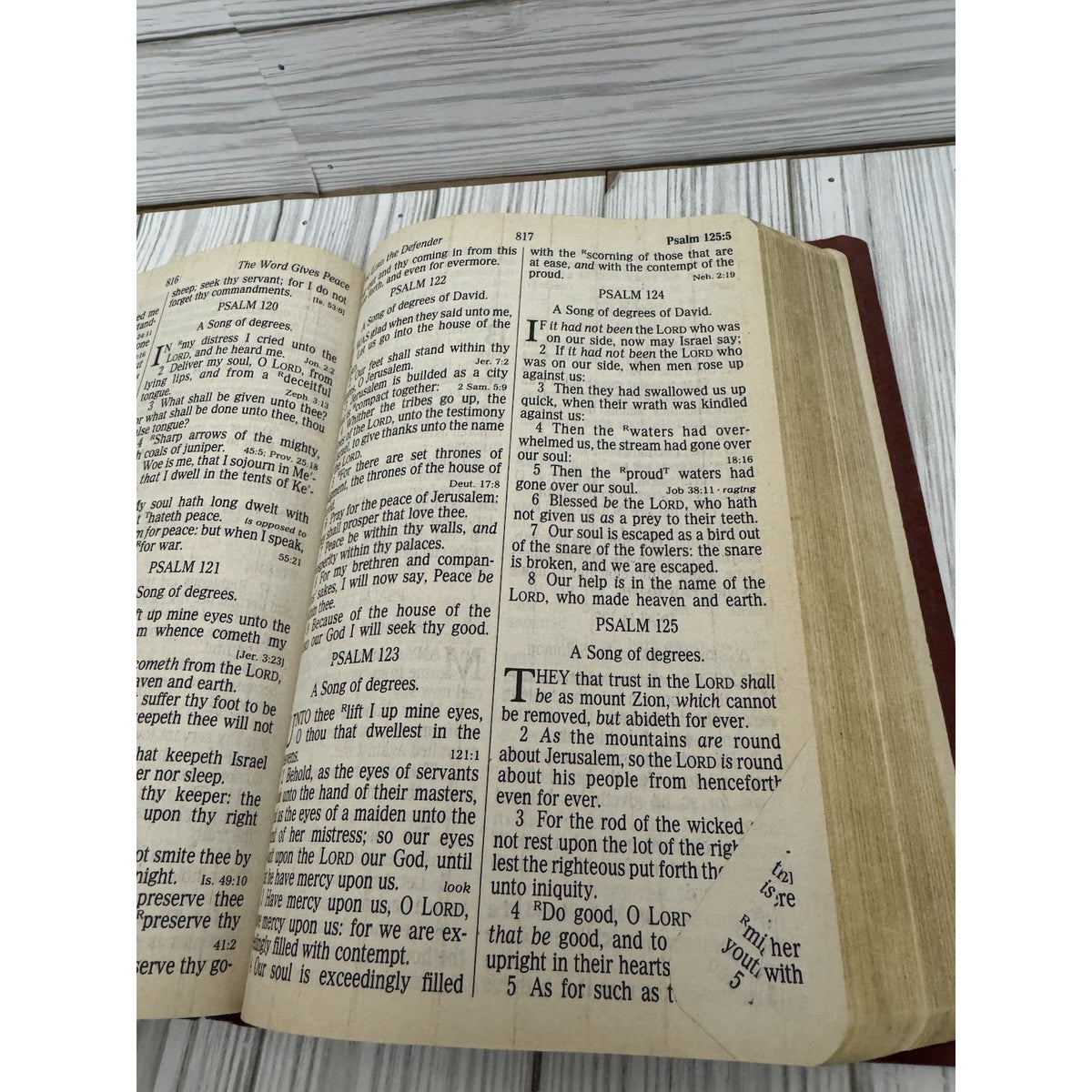 Holy Bible KJV Giant Print Nelson Regency 881CBG Red Letter Concordance Flexi