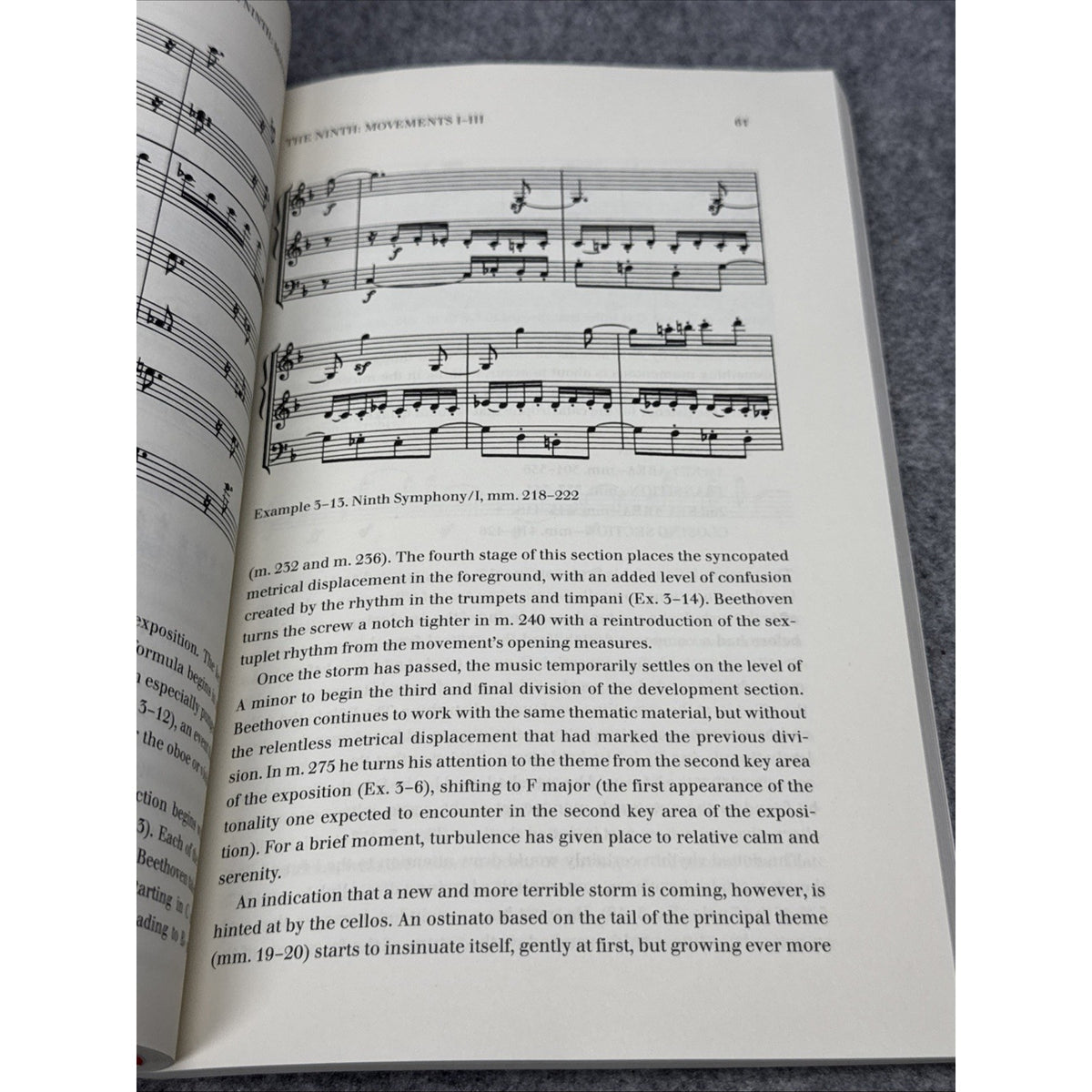 Yale Music Masterworks Ser.: Beethoven: the Ninth Symphony : Revised Edition by
