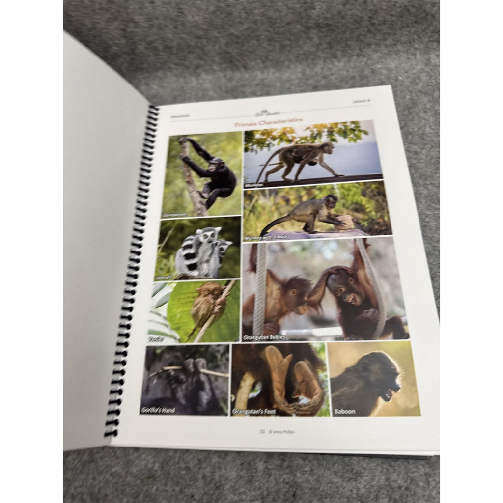 The Good And The Beautiful Mammals K-8 Science Unit Spiralbound Book