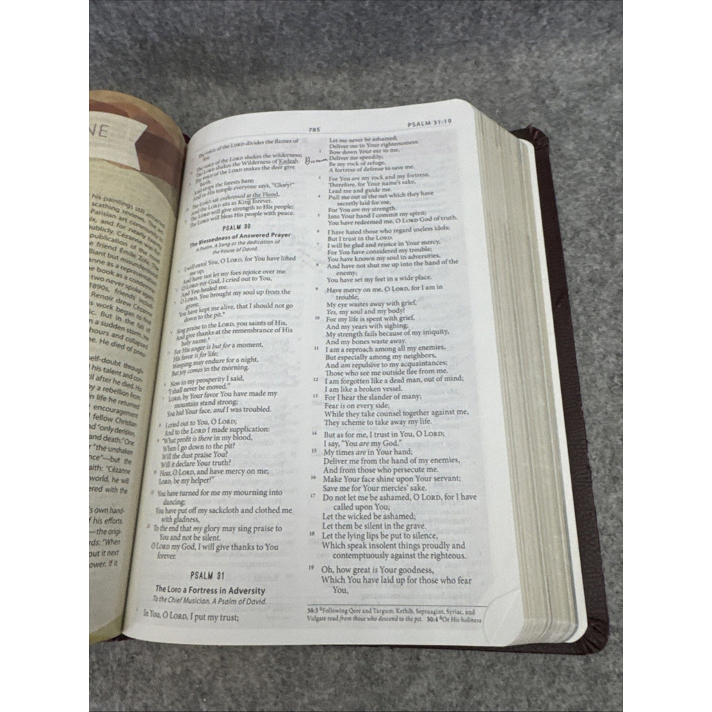 NKJV Modern Life Study Bible Brown Leather Soft
