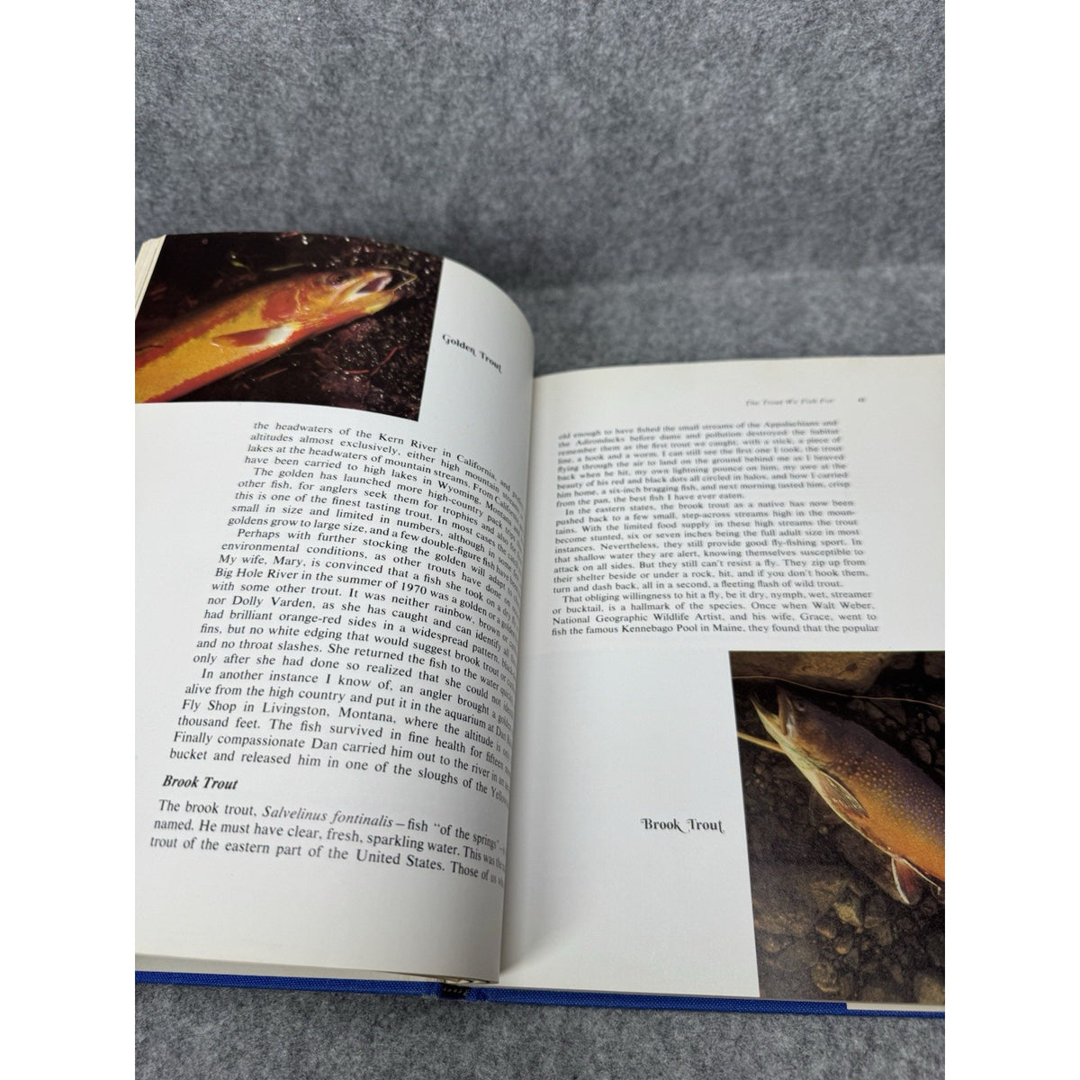 1972 Trout Fishing Joe Brooks First Edition Fly Fishing HC Dust Jacket
