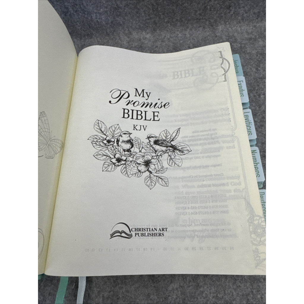 KJV Holy Bible, My Promise Bible, Faux Leather Hardcover w/Bible Tabs, Color...