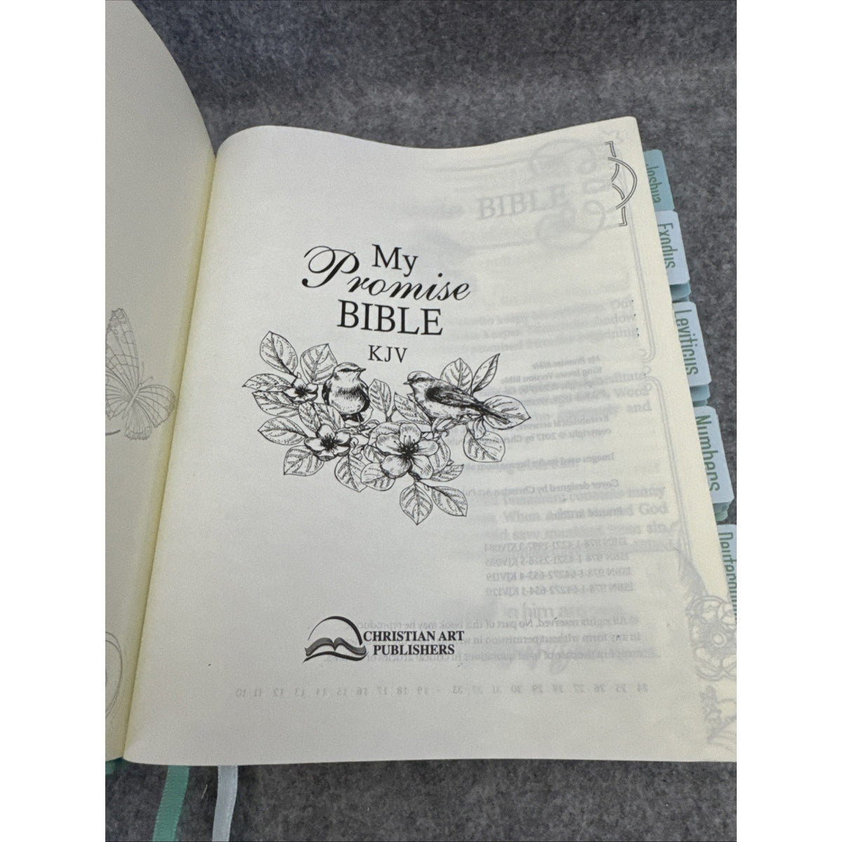 KJV Holy Bible, My Promise Bible, Faux Leather Hardcover w/Bible Tabs, Color...