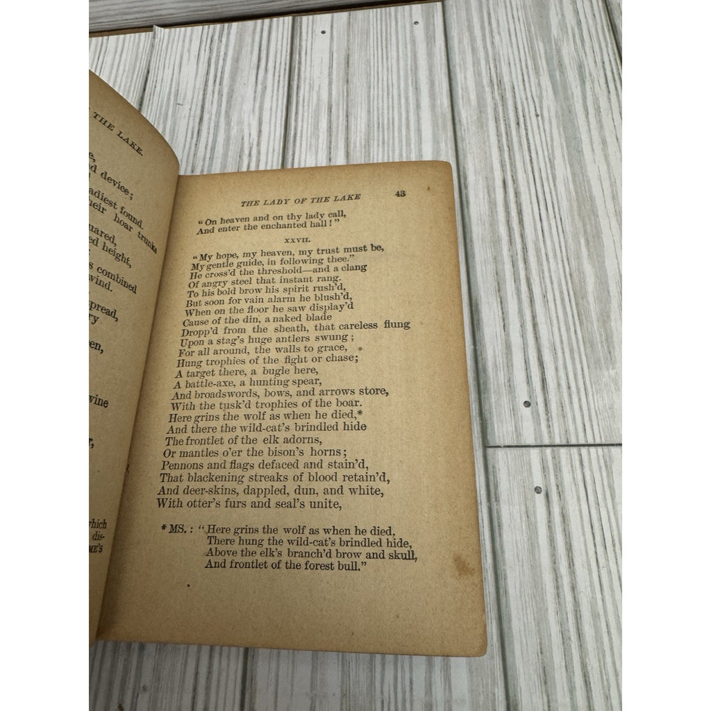 The Lady of the Lake Sir Walter Scott Antique HC Victorian Era