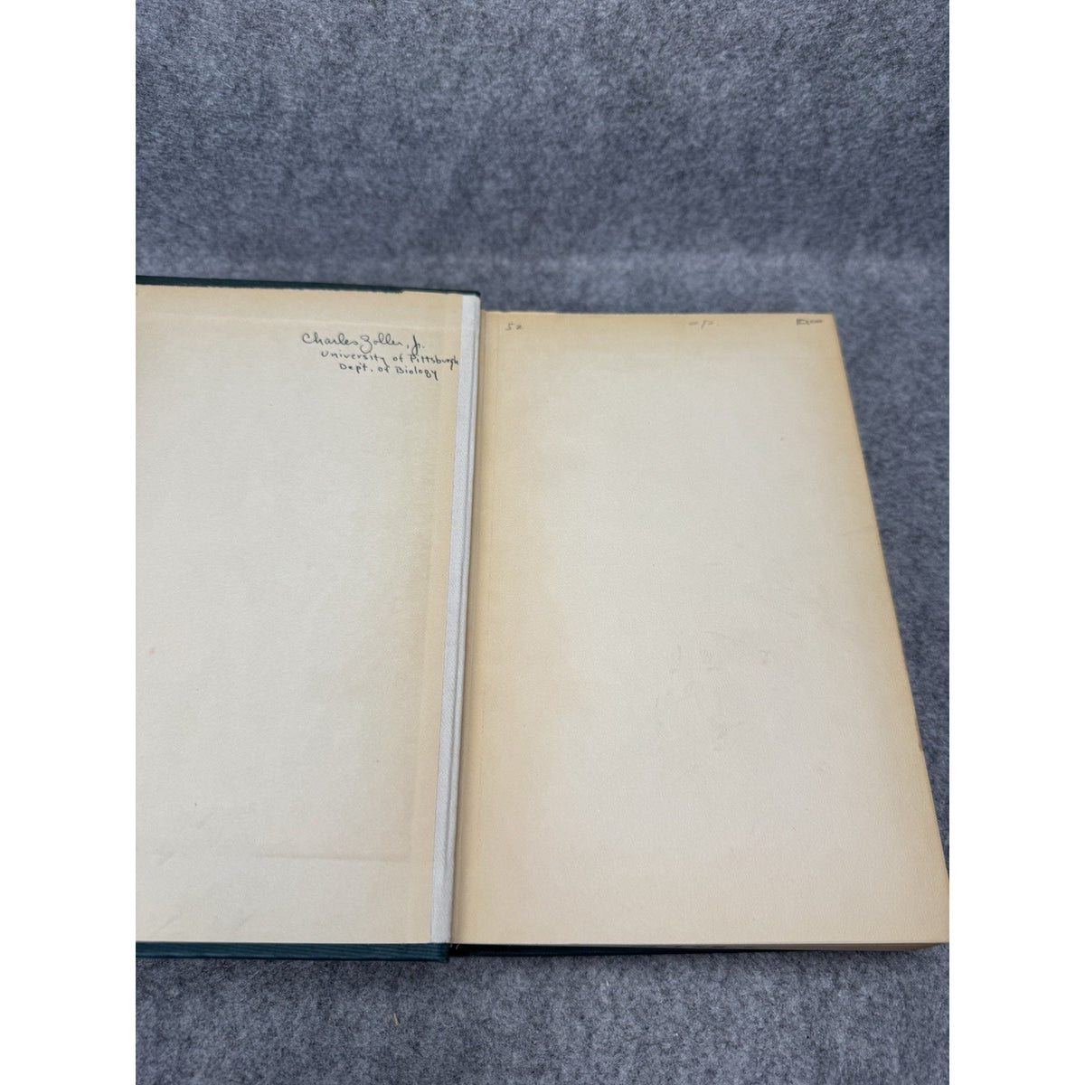 1924 Introduction to Entomology Comstock First Complete Edition Illustrated HC