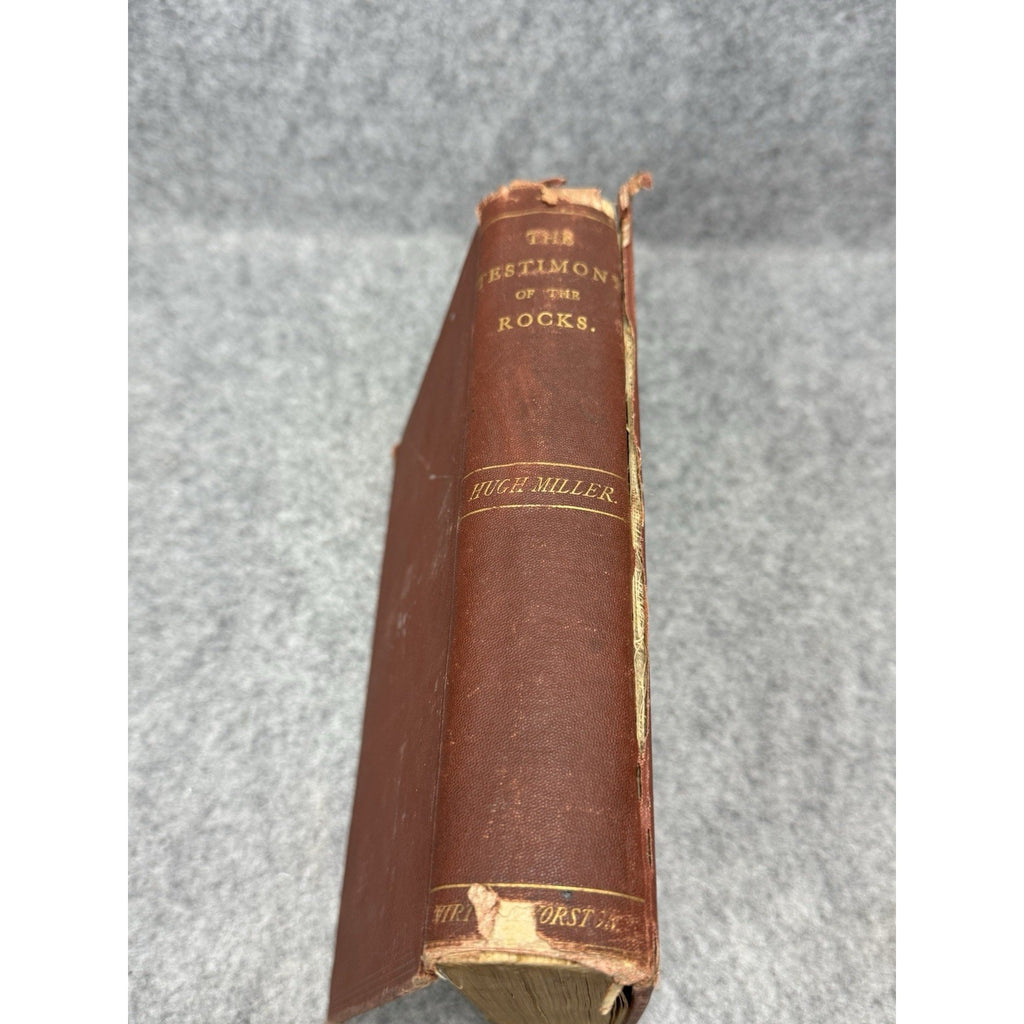 The Testimony of the Rocks Hugh Miller Antique Illustrated Geology Theology HC