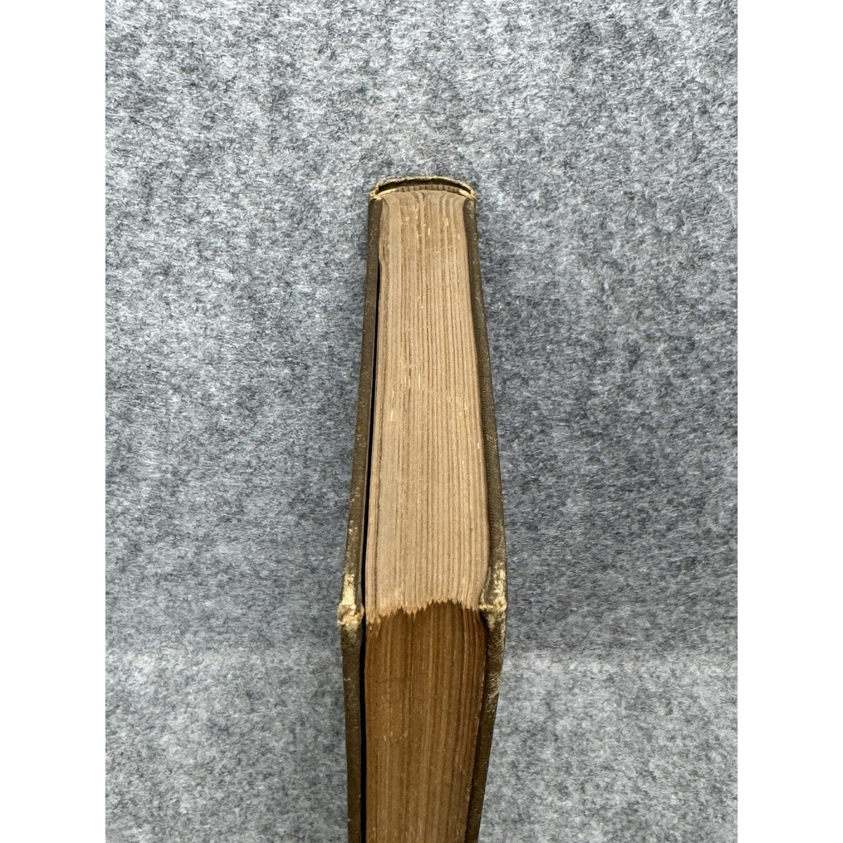 1896 Elements of Botany J Y Bergen Illustrated Antique Plants Science Hardcover