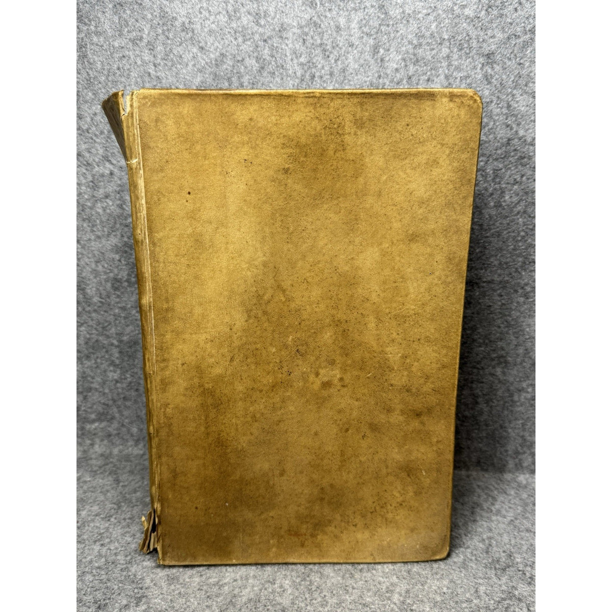 1660 Erasmus Paraphrasis New Testament Dutch Folio Thomas Fonteyn