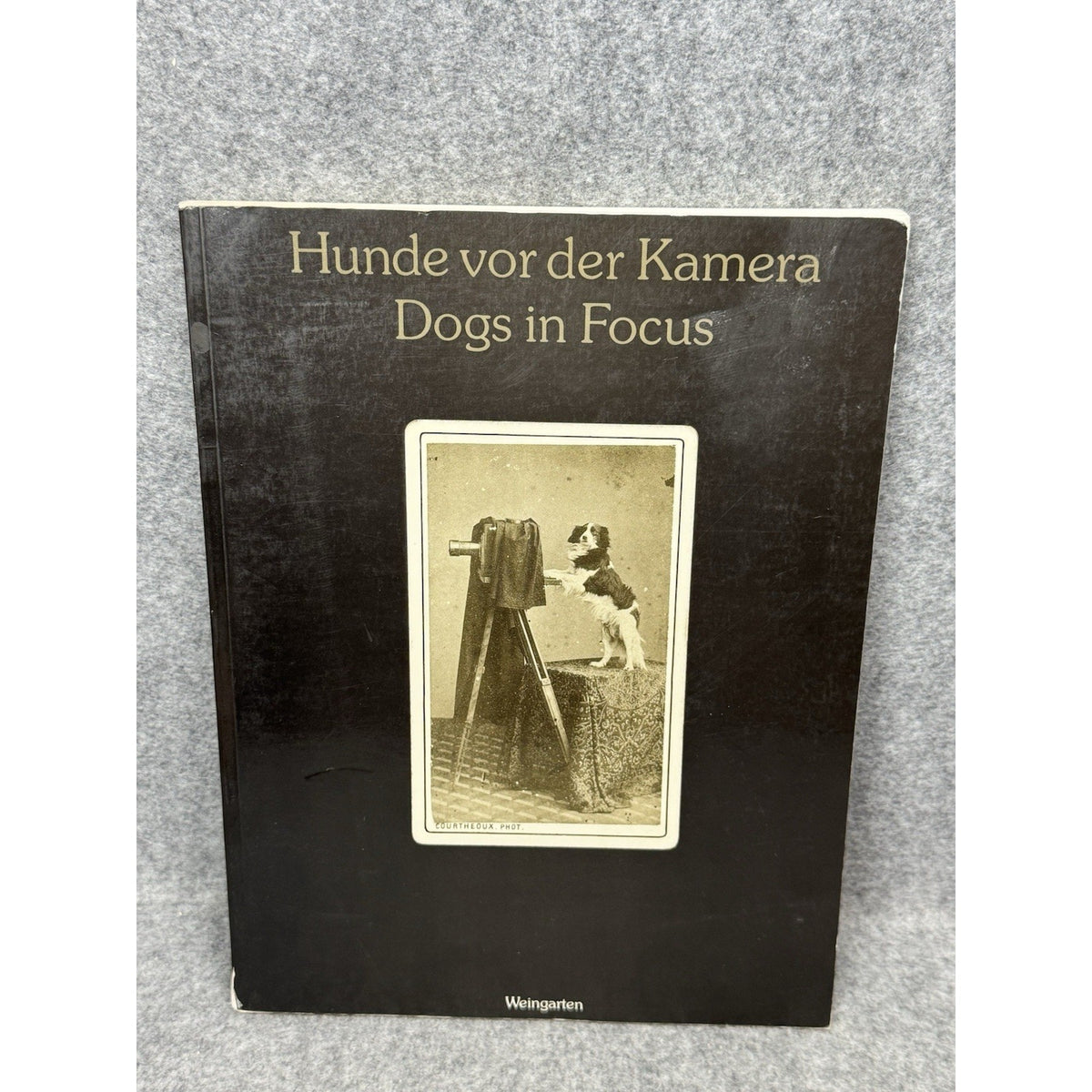 1989 Dogs in Focus 150 Years Photography Uwe Scheid Hunde vor der Kamera