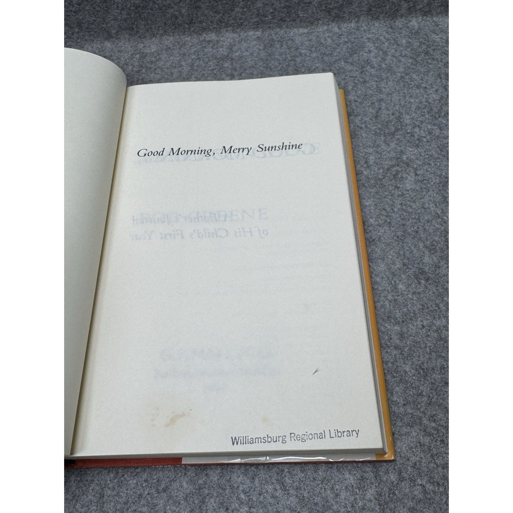 Good Morning Merry Sunshine Bob Greene 1985 Large Print Hardcover Fatherhood