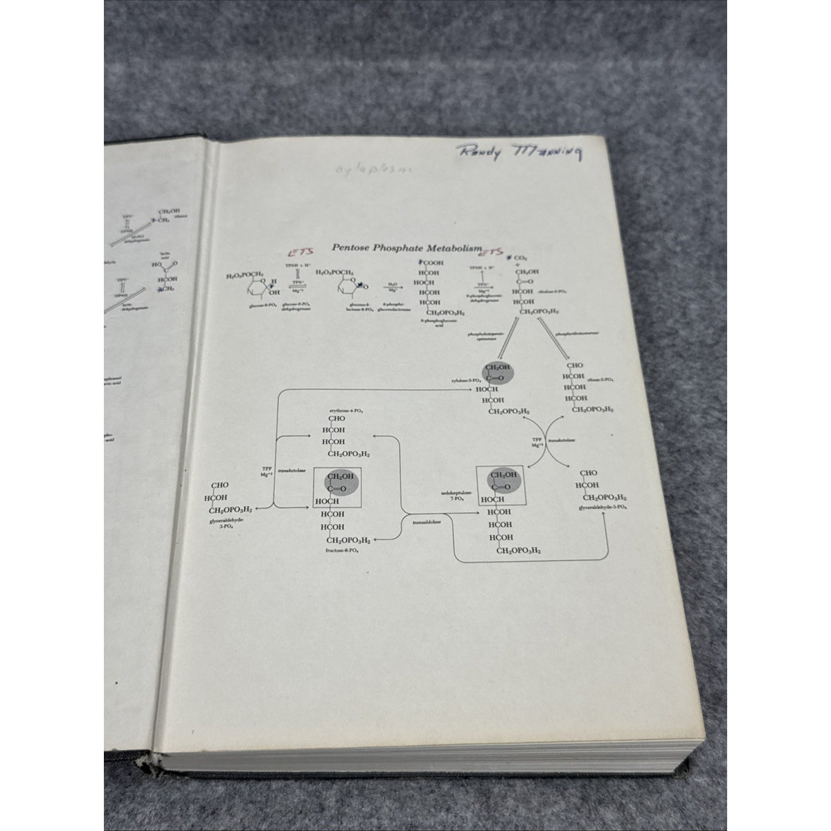 Outlines of Biochemistry 2nd Edition Conn & Stumpf 1967 HB 2nd Printing