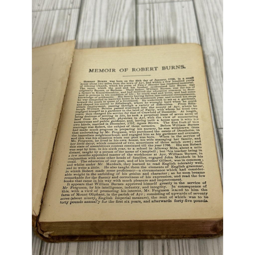 The Poetical Works of Robert Burns Antique Leather HC Hurst & Co