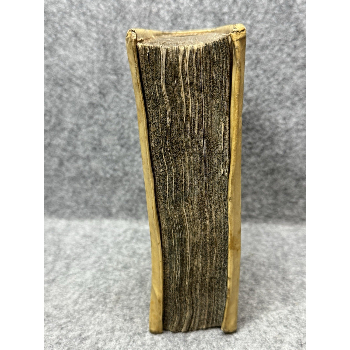 1665 Altera Noe Arca Theodor Rhay Rare Jesuit Latin Vellum Noah’s Ark