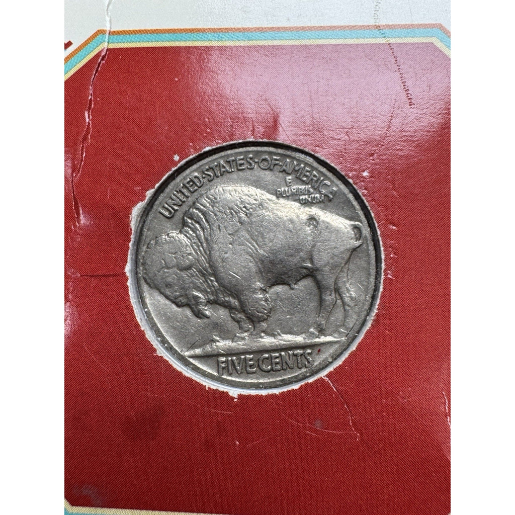 1936 Buffalo Nickel 1970 Wildlife Conservation Stamp Historical Display