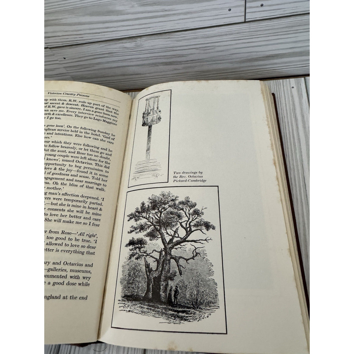 Victorian Country Parson, Brenda Colloms, Book Club Associates, 1