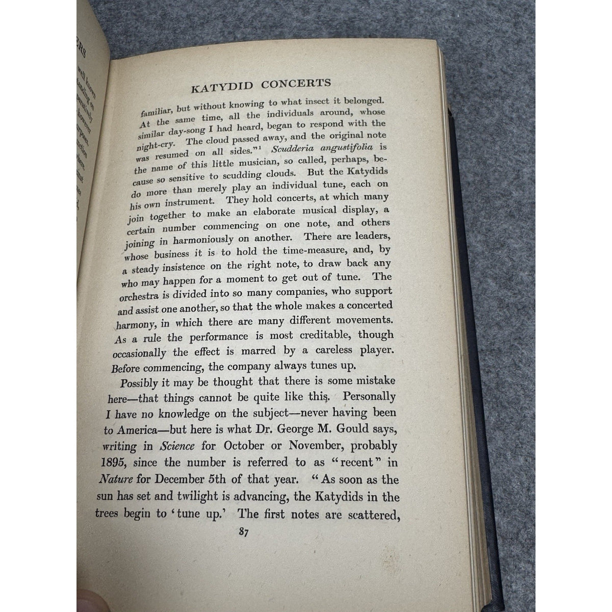 1906 The Romance of Insect Life Edmund Selous Illustrated Decorative Hardcover