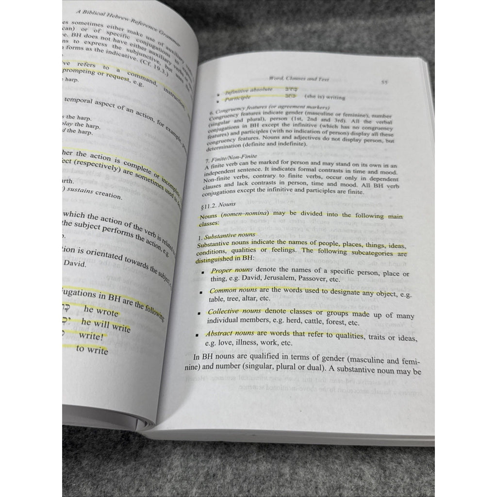 Biblical Languages: Hebrew Ser.: Biblical Hebrew Reference Grammar by Christo H.