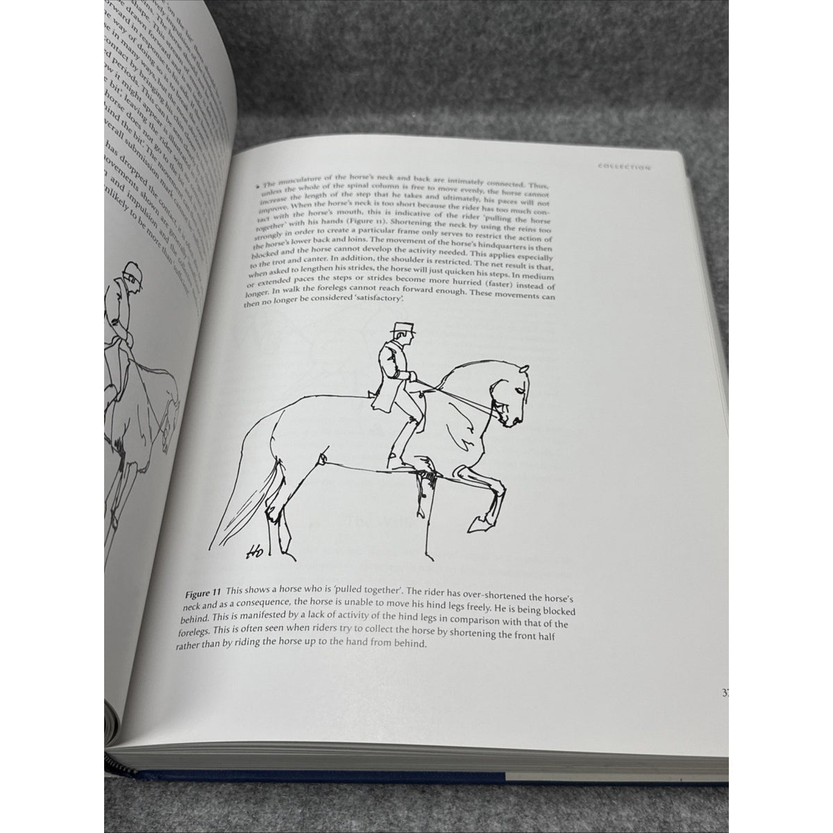 Dressage : A Guideline for Riders and Judges by Wolfgang Niggli (2003,...