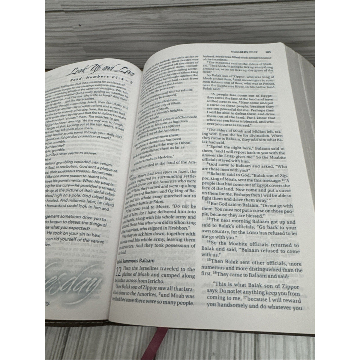 NIV, Women's Devotional Bible, Large - Imitation Leather, by Zondervan - Good