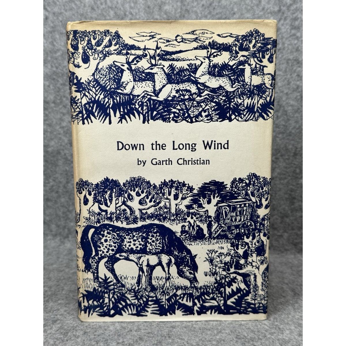 Down the Long Wind Garth Christian 1963 Bird Migration Hardcover DJ