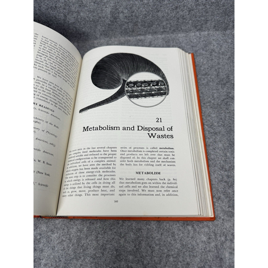 Zoology Alfred M Elliott 1963 3rd Edition Vintage Illustrated Biology Textbook