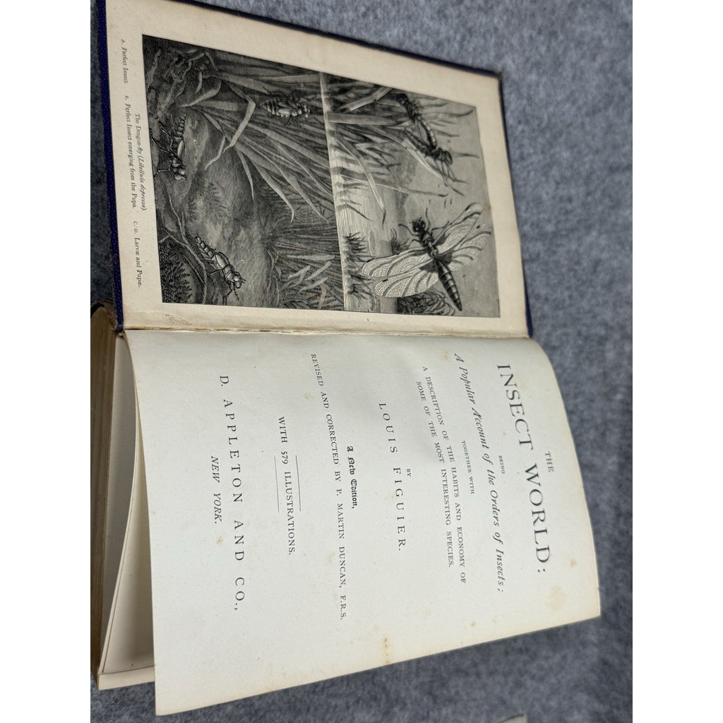 c.1872 The Insect World Louis Figuier 579 Illustrations Antique Gilt Hardcover
