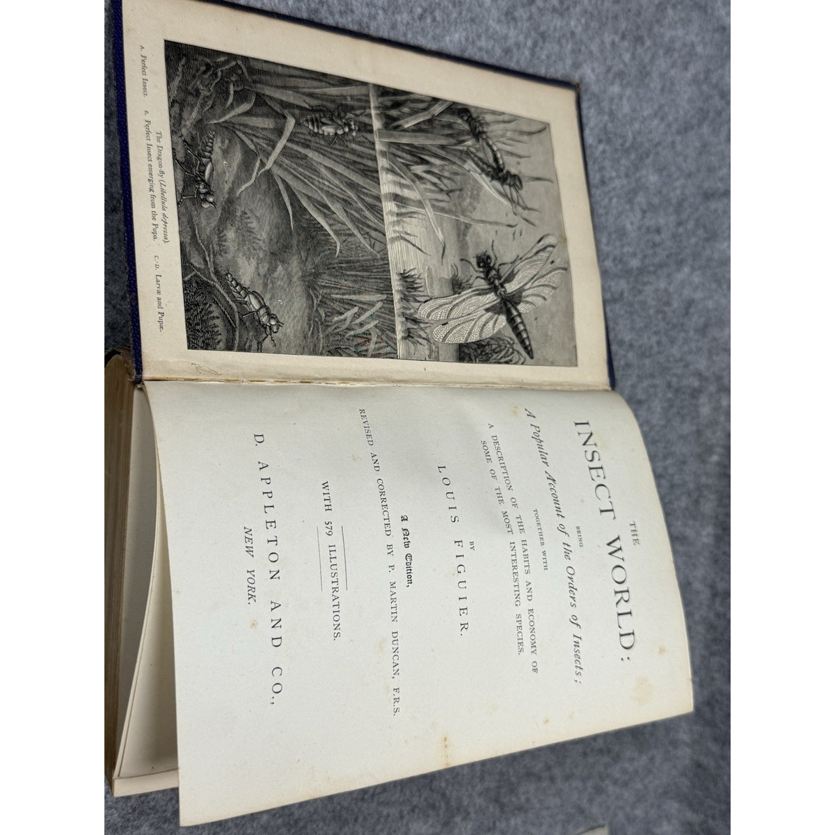 c.1872 The Insect World Louis Figuier 579 Illustrations Antique Gilt Hardcover