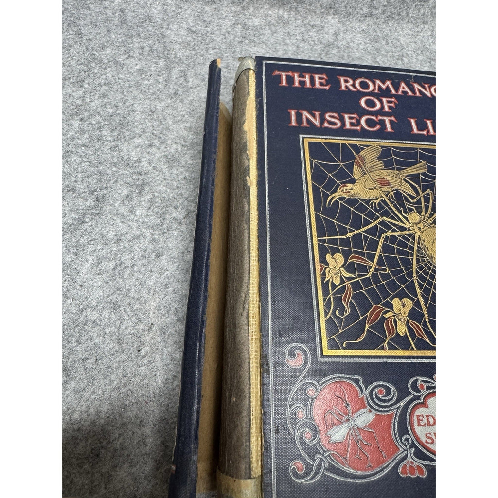1906 The Romance of Insect Life Edmund Selous Illustrated Decorative Hardcover