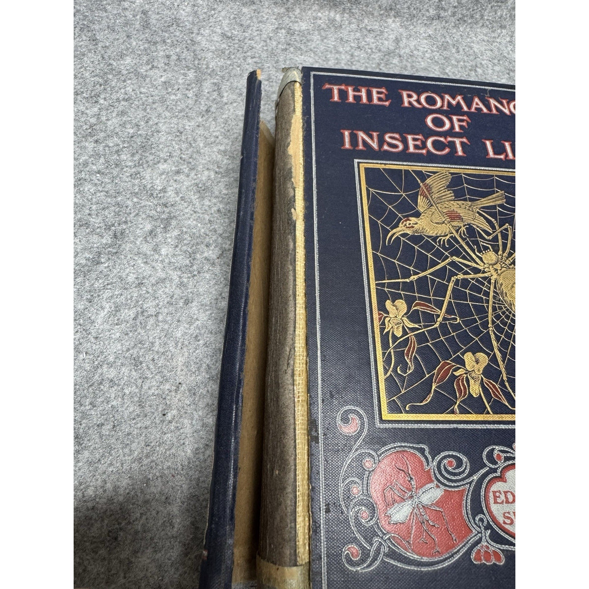 1906 The Romance of Insect Life Edmund Selous Illustrated Decorative Hardcover