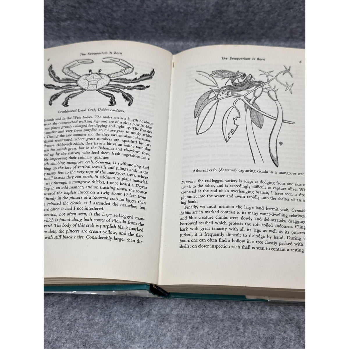 The Captive Sea by Craig Phillips HC First Edition 1964