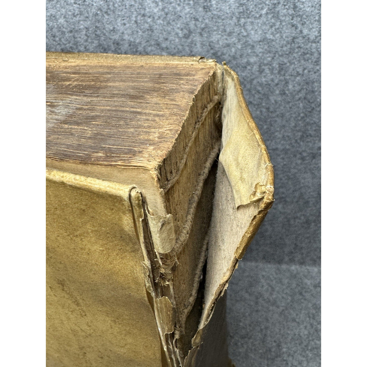1660 Erasmus Paraphrasis New Testament Dutch Folio Thomas Fonteyn