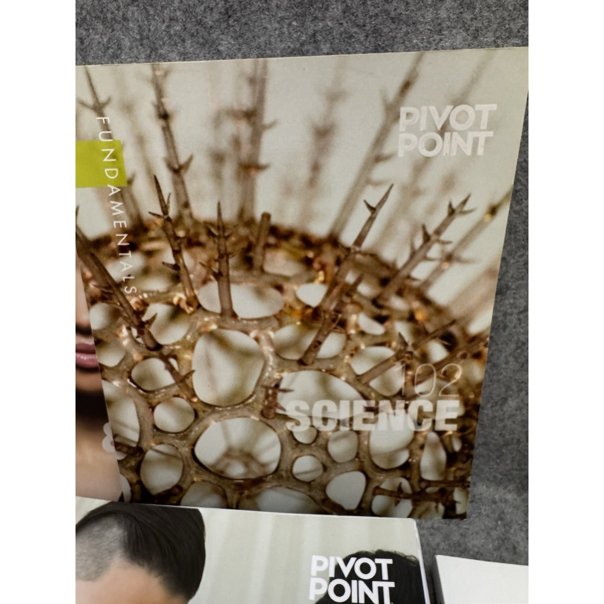 Pivot Point Fundamentals Cosmetology Textbook Set Science Color Nails