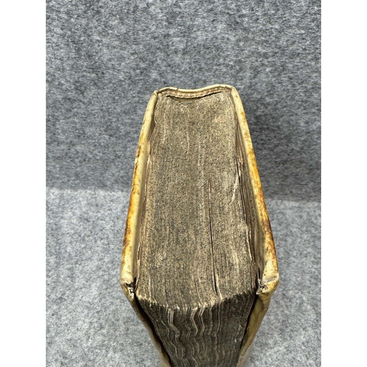 1665 Altera Noe Arca Theodor Rhay Rare Jesuit Latin Vellum Noah’s Ark