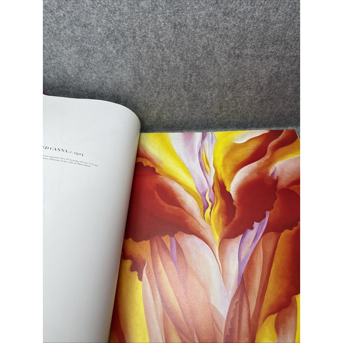 Georgia O'Keeffe : Selections from One Hundred Flowers, in the West, the New...