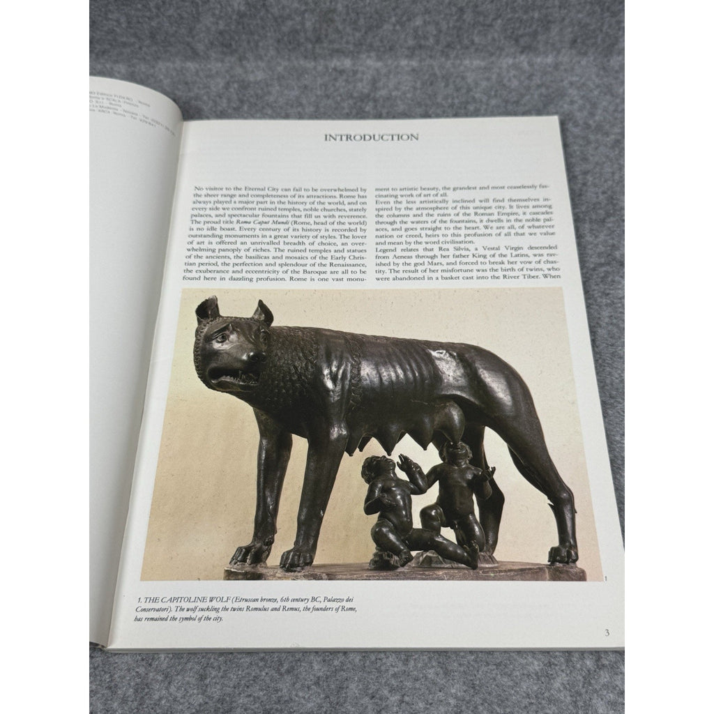 Rome Vatican Manzione Pazienti Ancient Roman Art Architecture Illustrated Guide