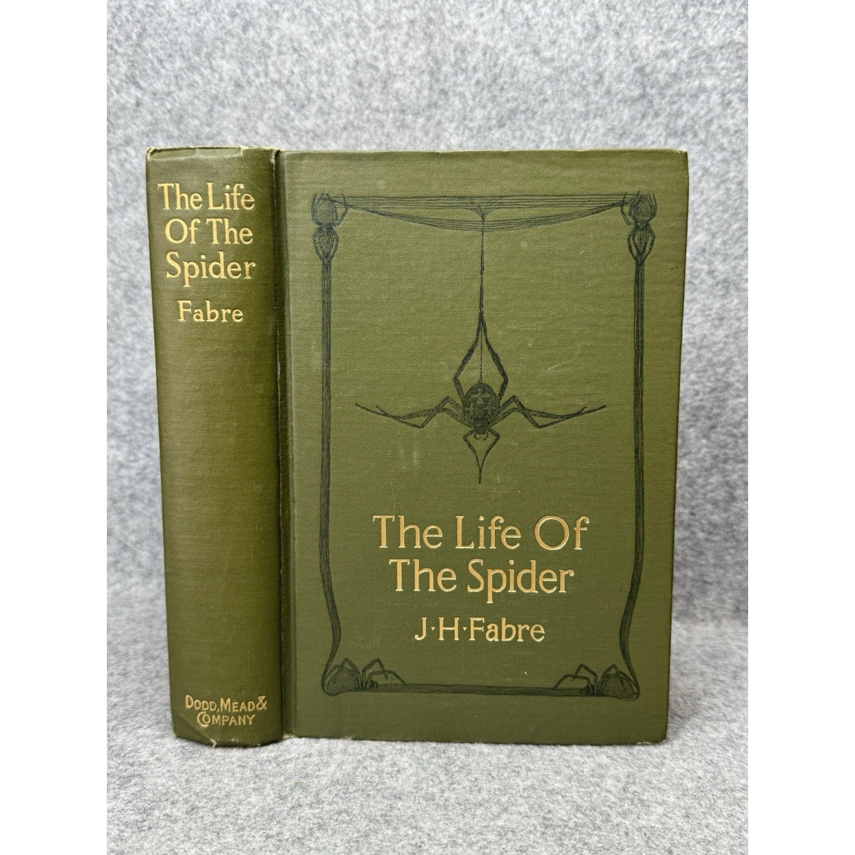 1919 The Life of the Spider J Henri Fabre Illustrated Decorative Hardcover