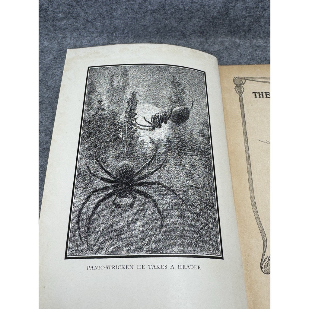 1919 The Life of the Spider J Henri Fabre Illustrated Decorative Hardcover