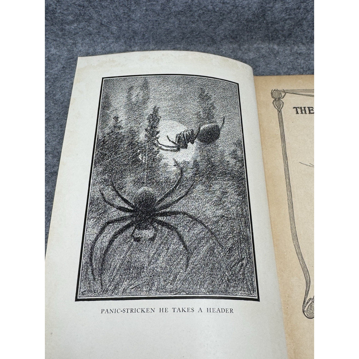 1919 The Life of the Spider J Henri Fabre Illustrated Decorative Hardcover