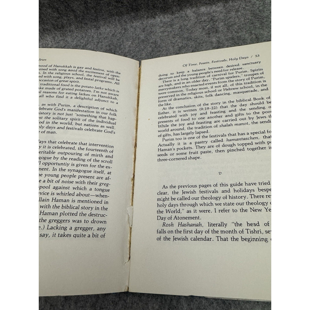 We Jews Invitation to a Dialogue Rosenzweig HC 1977