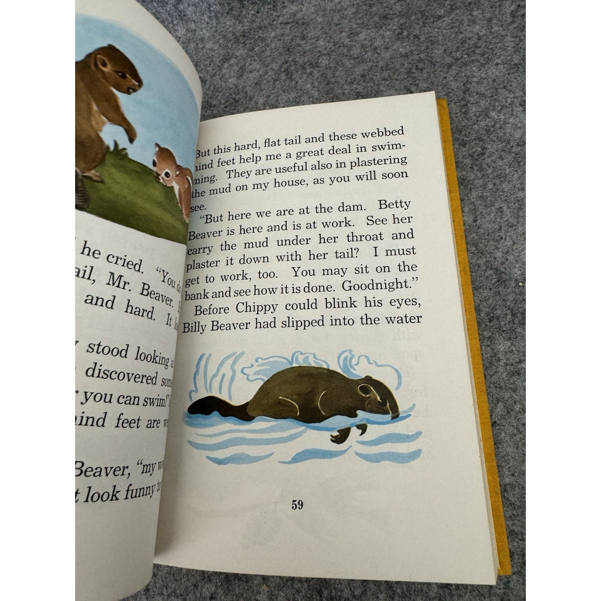 1947 Chippy Chipmunk’s Vacation Woodland Frolics Series HB Illustrated