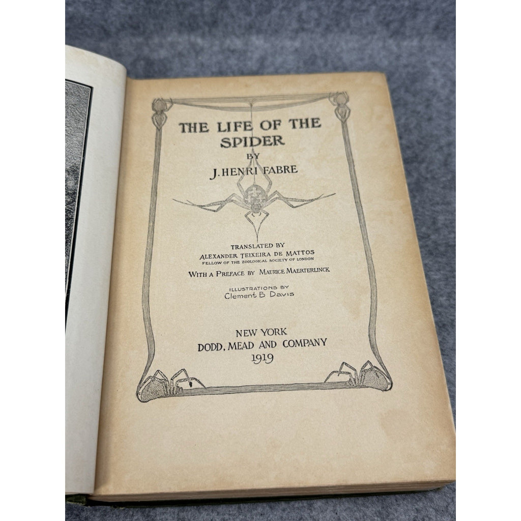 1919 The Life of the Spider J Henri Fabre Illustrated Decorative Hardcover
