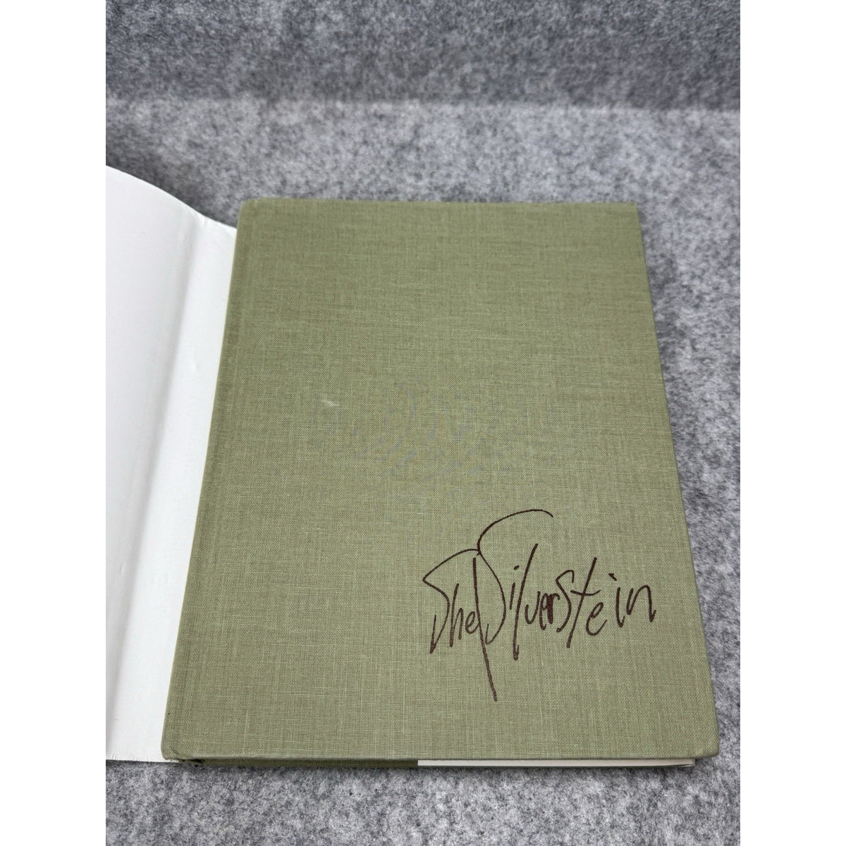 Where the Sidewalk Ends Shel Silverstein Hardcover Dust Jacket 1974 Copyright