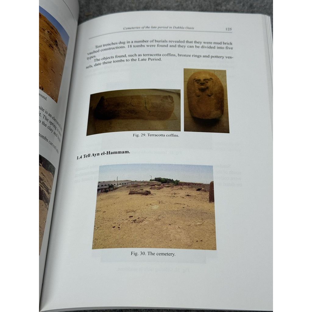 Papyrologica Lupiensia 18-21 2009-2012 Capasso 2 Vol Set Egyptology