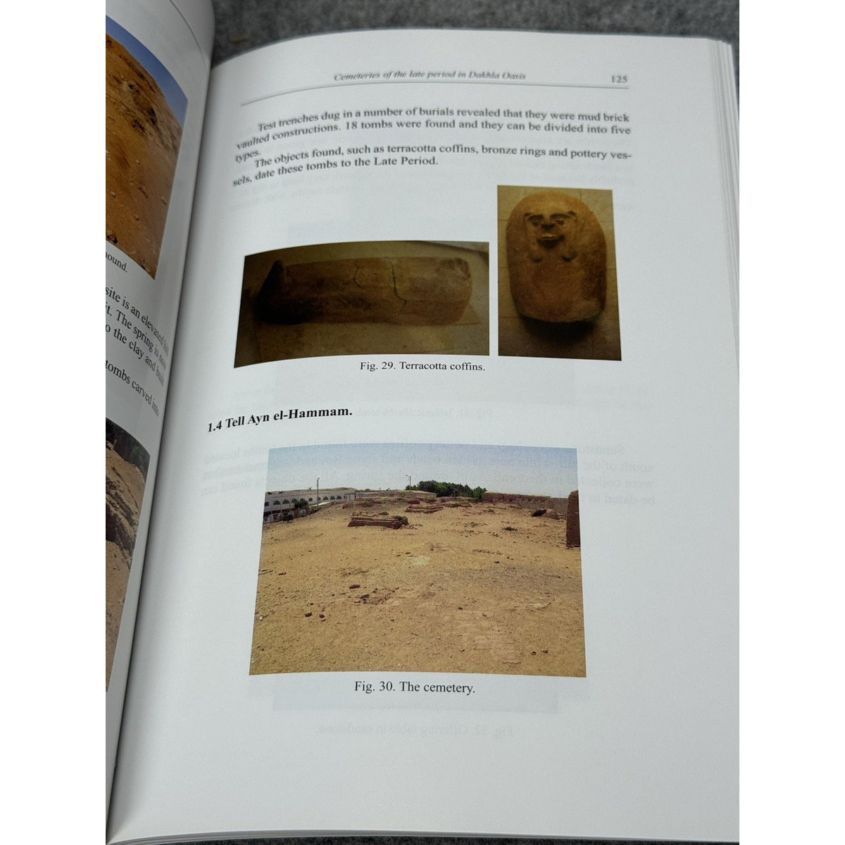 Papyrologica Lupiensia 18-21 2009-2012 Capasso 2 Vol Set Egyptology
