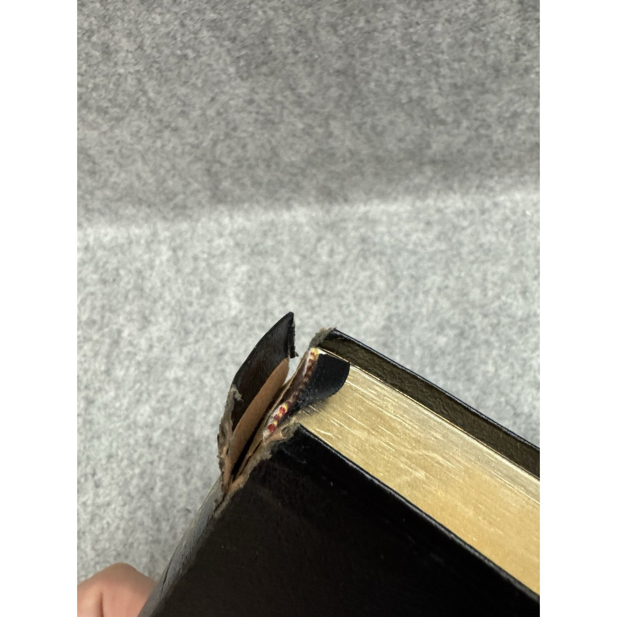 NKJV Holy Bible Giant Print Red Letter References Concordance Thomas Nelson