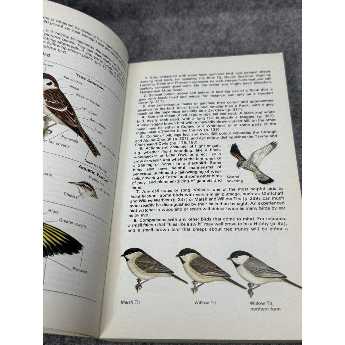 Birds of Britain and Europe 1974 Heinzel Fitter Parslow Illustrated Field Guide